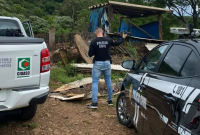 Fiscalização identifica suspeitas de maus-tratos a animais e crimes ambientais em propriedade rural
