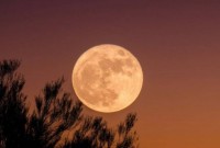 "Lua cheia do veado" poderá ser vista nesta quinta (10) em todo o Brasil; saiba como