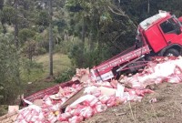 Saída de pista seguida de capotamento é registrada em Santa Catarina