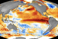 Super El Niño se fortalece e pode ser o mais intenso da história, alertam cientistas