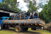 PF prende estrangeiro por contrabando de cera de abelha na fronteira com a Argentina