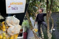 Criança distribui laranjas a vizinhos e transforma gesto simples em lição de gentileza em Ponte Serrada