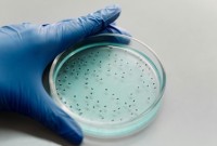 Anticoncepcional masculino injetável pode chegar ao mercado até 2028