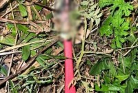 Homem é esfaqueado no peito após discussão