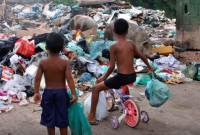 Senado aprova direito prioritário da criança a meio ambiente saudável