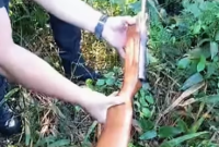 Rifle é apreendido após ser abandonado durante patrulhamento rural