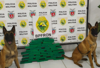 Cães do BPFRON encontram droga escondida em ônibus durante fiscalização