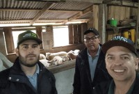 Programa de incentivo à criação de ovinos e caprinos avança com ações técnicas
