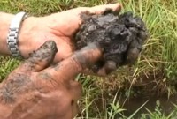 Produtores do Paraná vivem há 14 anos sob incerteza se moram em propriedade com petróleo