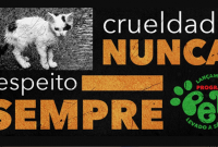 Programa estadual de castração animal será lançado pelo Governo de Santa Catarina nesta quarta-feira (30)