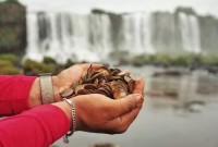 Quase 400 quilos de moedas são retirados das Cataratas do Iguaçu e acendem alerta ambiental