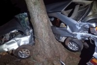 Jovens ficam gravemente feridos após carro sair da pista e bater contra árvore na SC-160