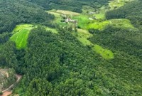 SC divulga abertura de inscrição no programa Mais Verde
