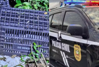 Corpo achado amordaçado pode ser de advogado venezuelano desaparecido em SC