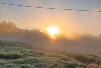 Em Maravilha, mínima chegou a 0ºC nesta terça-feira (12), e comunidade registra imagens de geada