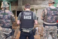 Operação é deflagrada contra rede de tráfico de animais em SC e outros estados