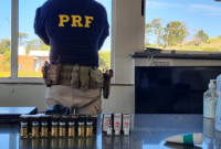 Medicamentos de origem estrangeira são apreendidos na BR-282