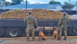 BPFRON e Polícia Federal apreendem 550 quilos de maconha e causam prejuízo de R$ 2 milhões ao crime