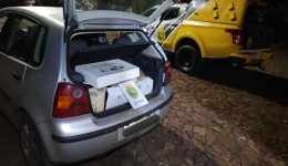 Polícia apreende carga de vinhos argentinos durante ação contra descaminho