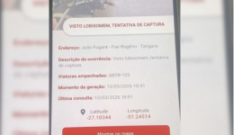 “Captura de lobisomem” em sexta-feira 13 viraliza em Santa Catarina; bombeiros esclarecem caso