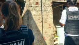 Investigações de violência doméstica resultam no cumprimento de dois mandados de busca e apreensão