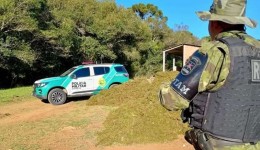Agricultor é multado e responderá por crime ambiental após arrancar musgo em área protegida no Paraná