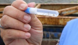 Paraná registra mais quatro óbitos em decorrência da dengue