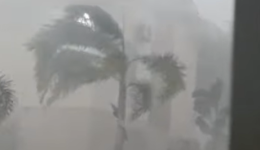 Temporal com granizo e ventos causa danos