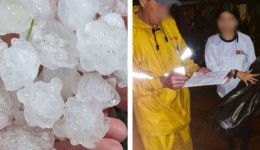 Temporal com granizo danifica casas e derruba árvore