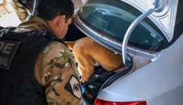 Polícia desmonta megaesquema do tráfico e prende 25 suspeitos em operação interestadual