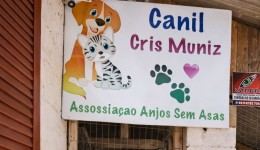 ONG Anjos Sem Asas recebe R$ 100 mil para castração de animais