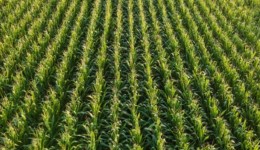 Agropecuária brasileira deve faturar R$ 1,4 trilhão em 2026