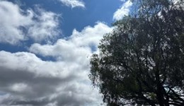 Frente fria deve provocar tempestades e queda nas temperaturas no Paraná