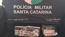 Polícia Militar apreende medicamentos, anabolizantes e cigarros eletrônicos em ação de contrabando
