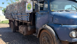 Caminhão carregado com recicláveis é apreendido pelo BPFRON