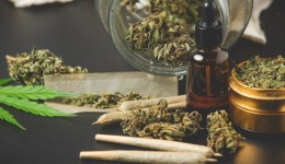 Maconha pode aumentar risco de morte por infarto e derrame, afirma estudo