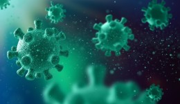 Município registra 3 mortes por Influenza em intervalo de 10 dias