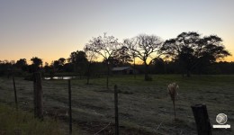 Outono 2026 começa nesta semana, mas frio deve demorar a chegar ao Brasil