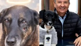 “De embrulhar o estômago”, diz Jorginho sobre assassinato do Orelha em Florianópolis