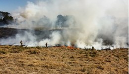Atear fogo em lixo em terrenos baldios responde por mais de 30% dos incêndios