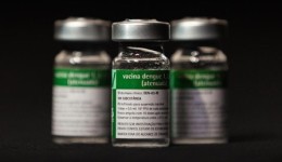 Vacina brasileira contra dengue deve receber aval da Anvisa ainda este ano