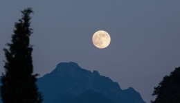 Lua do Veado acontece nesta quinta-feira; entenda o fenômeno