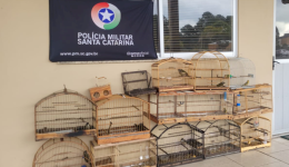 Pássaros mantidos em cativeiro são resgatados pela polícia ambiental