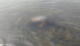 Corpo com marcas de tiros é encontrado no Rio Uruguai e polícia investiga execução