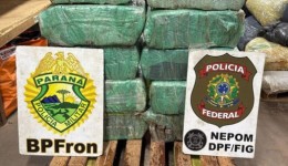 PF e PM apreendem mais de 161 quilos de maconha
