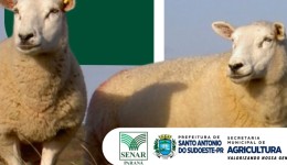 Secretaria de Agricultura e Senar promovem curso de Ovinocultura de Corte para produtores rurais