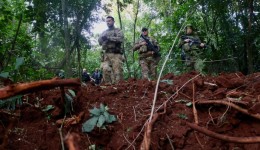 Operação Sinergia II termina com 12,4 toneladas de drogas apreendidas e 271 prisões