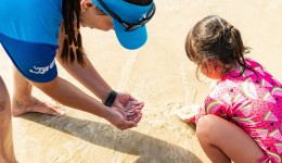 Bandeira verde: praias do Paraná têm 85% de águas próprias para banho