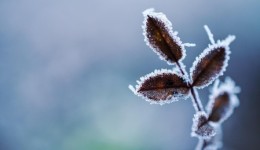 Massa de ar frio derruba temperaturas a partir desta segunda-feira em SC
