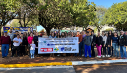 O futuro das APAEs em jogo: STF analisa leis que podem mudar a educação especial no Paraná